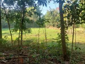 Bangunjiwo, Tanah Kasihan Bantul, Dekat Pasar Gamping lokasi di Yogyakarta Kota, tersedia melalui melalui situs Olx