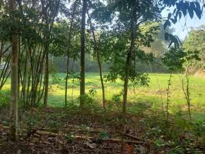 Bangunjiwo, Tanah Kasihan Bantul, Dekat Ringroad Barat lokasi di Bantul Kab., tersedia melalui melalui situs Olx