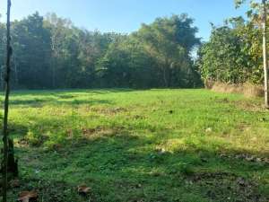 Bangunjiwo, Tanah Kasihan Bantul, Dekat UMY lokasi di Bantul Kab., tersedia melalui melalui situs Olx