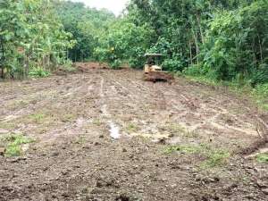 Bantul Kawasan Asri Cocok Hunian SHM lokasi di Bantul Kab., tersedia melalui melalui situs Olx