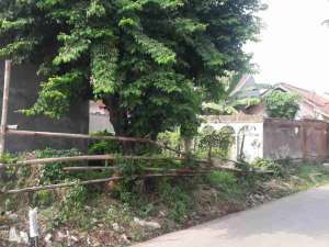 BELI TANAH GRATIS KIOS 2 UNIT LOKASI DIBELAKANG UNIVERSITAS INDONESIA lokasi di Depok Kota, tersedia melalui melalui situs Olx