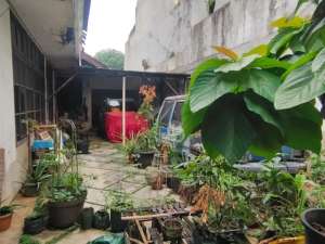 BillyMoon Pondok Kelapa Rumah Tua HITUNGBTANAH Jalan Utama drkat Gate Jl Raya Resto Pagi Sore COCOK BUAT Kantor Cafe Kost Rumah Mewah lokasi di Jakarta Timur, tersedia melalui melalui situs Olx