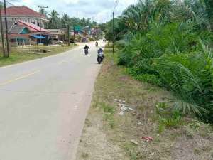 Bismillah dijual Tanah Kavling jalan Raya IKN luas 300 M, 20 menit menuju istana lokasi di Penajam Paser Utara Kab., tersedia melalui melalui situs Olx