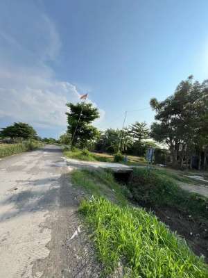 BREBES LIMBANGAN WETAN TANAH LUAS COCOK UNTUK PERUMAHAN JUAL MURAH lokasi di Brebes Kab., tersedia melalui melalui situs Olx