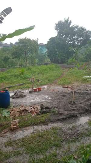 BU JUAL CEPAT TANAH DEKAT PASAR PARUNG lokasi di Bogor Kab., tersedia melalui melalui situs Olx