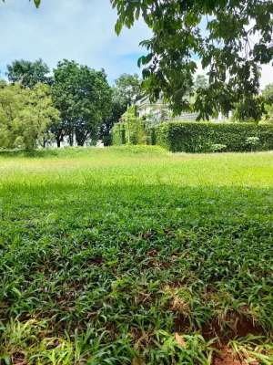 Bukit Menteng Kaveling Bintaro Jaya jual cepat lokasi di Jakarta Selatan, tersedia melalui melalui situs Olx