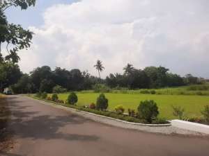 Buruan Tanah Kavling Murah Godean lokasi di Sleman Kab., tersedia melalui melalui situs Olx