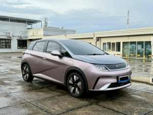 Jual bekas BYD Dolphin Premium 2024 Low Km 5RB Antik,lokasi di Jakarta Selatan