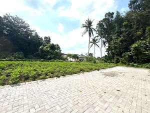 Cocok Bangun Kos, Tanah Ring 1 Kampus Jogja lokasi di Yogyakarta Kota, tersedia melalui melalui situs Olx