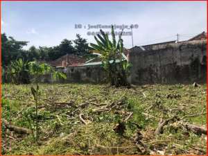 Dalam perumahan Lempongsari dekat hotel Hyatt palagan lokasi di Sleman Kab., tersedia melalui melalui situs Olx