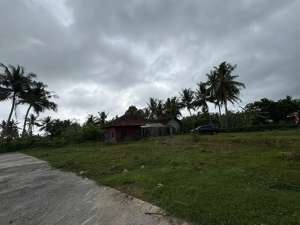 dekat Bandara NYIA Tanah Siap Bangun Cocok Investasi SHM lokasi di Kulon Progo Kab., tersedia melalui melalui situs Olx