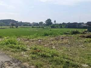 Dekat Gereja Jambon tepi aspal Trihanggo , SHM P unit lokasi di Yogyakarta Kota, tersedia melalui melalui situs Olx