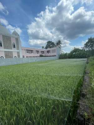 Dekat Maguwoharjo Kavling Strategis Legalitas Siap Bangun lokasi di Yogyakarta Kota, tersedia melalui melalui situs Olx