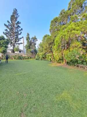 Di jual butuh vila mewah di Cisarua puncak Bogor luas tanah seribu mtr lokasi di Bogor Kab., tersedia melalui melalui situs Olx