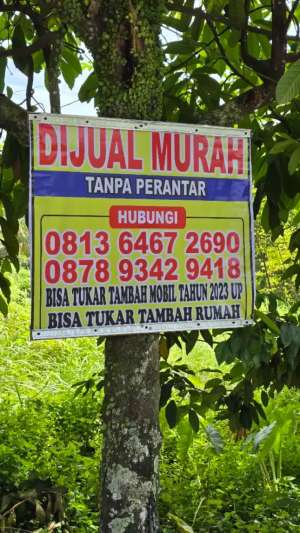 Di jual cepat, Murah, Bisa TT dg inovaCRV2023up Nego sampai jadi lokasi di Pekanbaru Kota, tersedia melalui melalui situs Olx