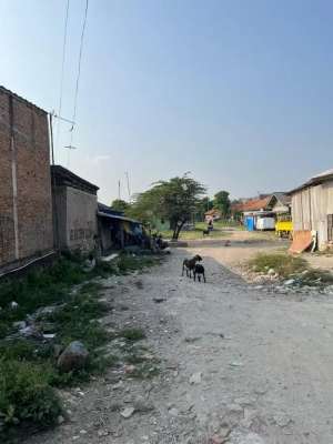 Di Jual Cepat Tanah di Kawasan Industri Cikarang lokasi di Bekasi Kab., tersedia melalui melalui situs Olx