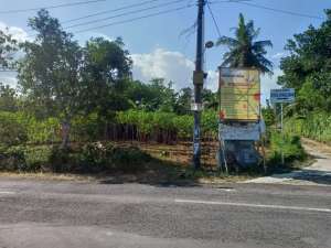 di jual cepat tanah pekarangan pinggir jalan aspal lokasi di Gunung Kidul Kab., tersedia melalui melalui situs Olx