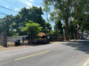Di Jual Cepat Tanah PotensialStrategis Di Jl.Singaraja-Seririt BALI lokasi di Buleleng Kab., tersedia melalui melalui situs Olx
