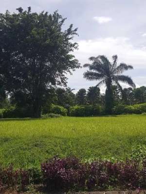 DI JUAL KAVLING DAERAH BOGOR lokasi di Bogor Kab., tersedia melalui melalui situs Olx