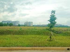 Di jual kavling industri 2 Ha di kawasan GIIC Deltamas Cikarang lokasi di Bekasi Kab., tersedia melalui melalui situs Olx