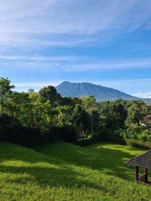 Di jual kavlingview cantik di cisarua bogor jawa barat lokasi di Bogor Kab., tersedia melalui melalui situs Olx