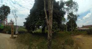 Di Jual Kebun Produktif,Cocok Untuk Villa View Bagus lokasi di Purwakarta Kab., tersedia melalui melalui situs Olx