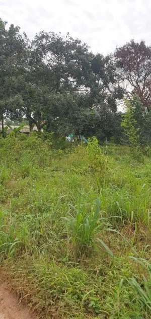 DI JUAL LAHAN KAWASAN CIBINONG BOGOR lokasi di Bogor Kab., tersedia melalui melalui situs Olx