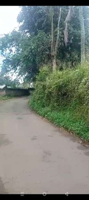 di jual lahantengah kebun di cugenang cianjur lokasi di Cianjur Kab., tersedia melalui melalui situs Olx