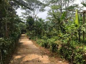 Di Jual Murah Tanah Kebun ,Cocok Untuk Ternak lokasi di Purwakarta Kab., tersedia melalui melalui situs Olx