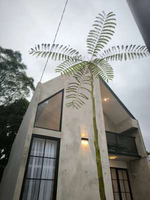 Di Jual Rumah Di Sawangan Dekat Stasiun LRT Dan Tol Lokasi Strategis lokasi di Depok Kota, tersedia melalui melalui situs Olx