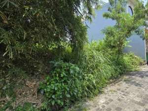 Di jual tanah bagus cocok untuk bangun villa, guest house dan hunian lain nya lokasi di Kab. Badung, tersedia melalui melalui situs Olx