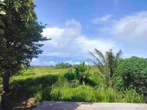 Di jual tanah di bawah harga pasaran luas 2.5 are di cempaka mas dalung Kuta Utara Badung lokasi di Kab. Badung, tersedia melalui melalui situs Olx