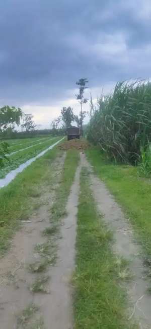 Di jual Tanah industri di daerah kediri lokasi di Kediri  Kab., tersedia melalui melalui situs Olx