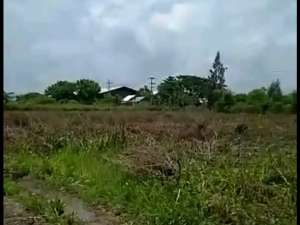 DI JUAL TANAH INDUSTRI DI TUBAN lokasi di Tuban Kab., tersedia melalui melalui situs Olx