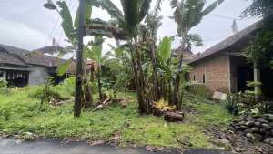 DI JUAL TANAH JEPARA lokasi di Jepara Kab., tersedia melalui melalui situs Olx