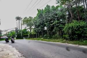 Di Jual Tanah Kebun 3000m2 di Jalan Arco Raya Sawangan lokasi di Depok Kota, tersedia melalui melalui situs Olx