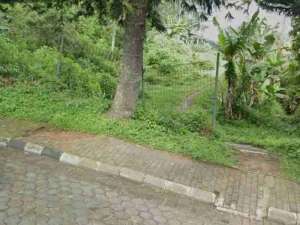 di jual tanah kebun siap bangun sejuk dan dingin di Cipanas cianjur lokasi di Cianjur Kab., tersedia melalui melalui situs Olx