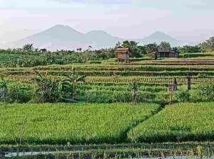 di jual tanah Kerobokan area bagus dekat ke Canggu umalas strategis ke Seminyak tidak macet lokasi di Kab. Badung, tersedia melalui melalui situs Olx