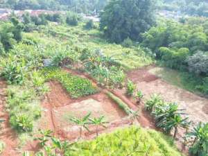 Di jual tanah luas di pondok cabe lokasi di Depok Kota, tersedia melalui melalui situs Olx