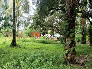 DI JUAL TANAH MEDAN BINJAI lokasi di Binjai Kota, tersedia melalui melalui situs Olx