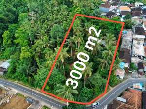 DI JUAL TANAH MURAH 1 MENIT KE PASAR BARANG BAJERA DAN FASILITAS UMUM LAINNYA, DI TABANAN BALI. lokasi di Tabanan Kab., tersedia melalui melalui situs Olx