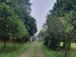 Di jual tanah murah di bintaro jakarta selatan lokasi di Jakarta Selatan, tersedia melalui melalui situs Olx