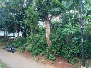 Di jual tanah murah di depok lokasi di Depok Kota, tersedia melalui melalui situs Olx