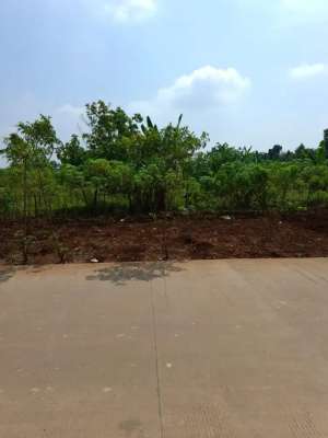 DI JUAL TANAH PREMIUM DI TEMBALANG DEKAT UNDIP lokasi di Semarang Kota, tersedia melalui melalui situs Olx