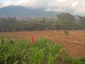 Di Jual Tanah Premium kawansan Kota Batu cocok untukperumahan kawasan villa hotel dan resort lokasi di Batu Kota, tersedia melalui melalui situs Olx