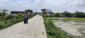 Di Jual Tanah Sawah Cikarang lokasi di Bekasi Kab., tersedia melalui melalui situs Olx