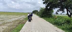 Di Jual Tanah sawah Cikarang lokasi di Bekasi Kab., tersedia melalui melalui situs Olx