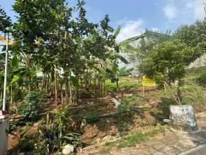 Di Jual Tanah strategis semarang lokasi di Semarang Kota, tersedia melalui melalui situs Olx