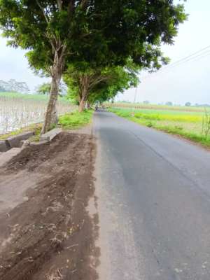 Di jual Tanah Zona Merahindustri di kediri lokasi di Kediri  Kab., tersedia melalui melalui situs Olx