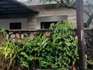 Di kontrakan rumah jalan Barito , Denpasar, Bali lokasi di Denpasar Kota, tersedia melalui melalui situs Olx